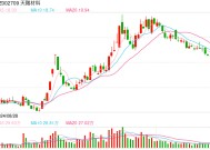 电解液“一哥”天赐材料业绩再腰斩，比两年前少赚50亿元