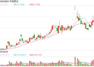 实控人涉嫌信披违规再遭立案 华扬联众如何解决公司治理问题