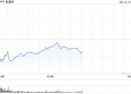 Lyft第四财季业绩不佳 股价下跌9%