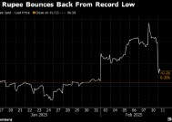 印度央行出手干预 遏制卢比投机头寸积聚