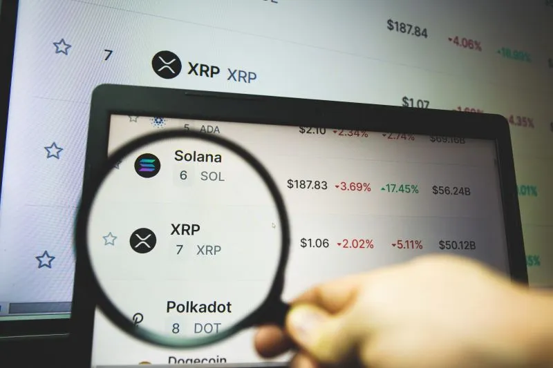 加密货币洞察：XRP鲸鱼在价格调整中表现出信心