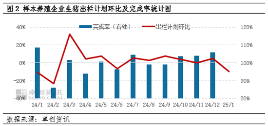 卓创资讯：1月样本企业生猪出栏计划环比减少 但日均出栏或环比增加