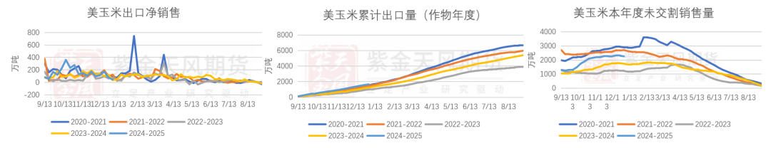 玉米：增储再次开启