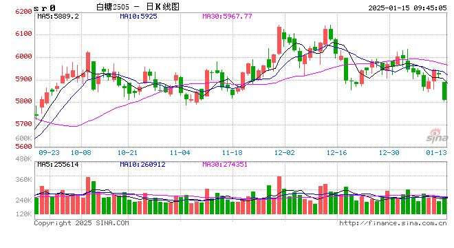 光大期货：1月15日软商品日报