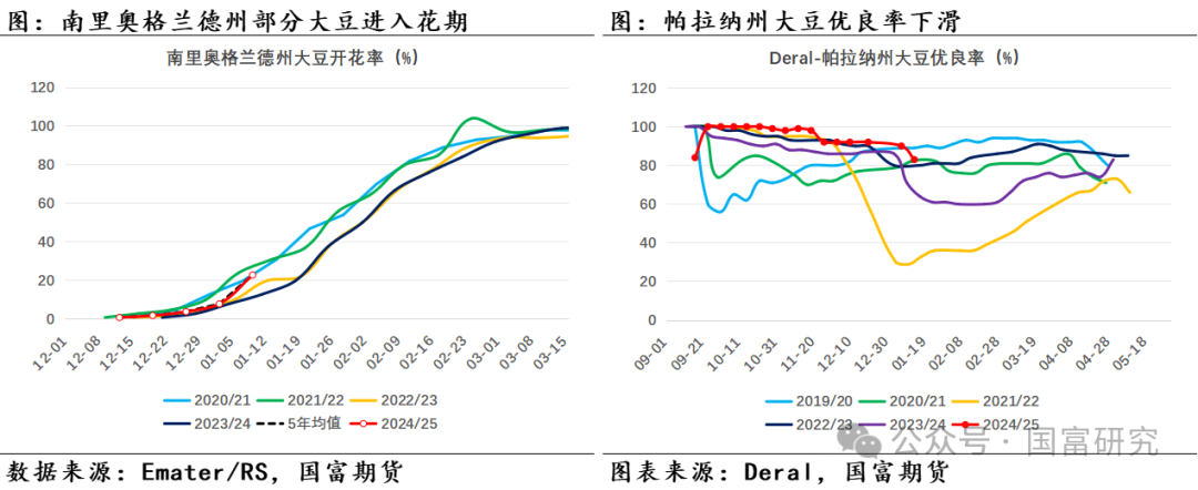 【USDA】1月报告：美豆单产下调超预期，南美大豆丰产压制美豆价格上行