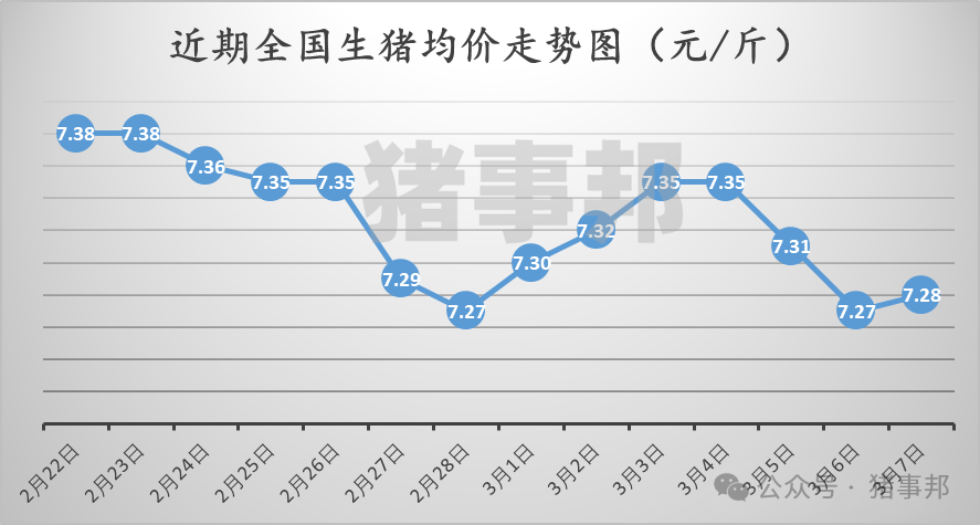 3月7日猪价汇总（北方稍强，南方稍弱！）