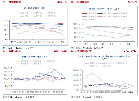 长安期货刘琳：基本面供需宽松 短期猪价不具备大涨动能